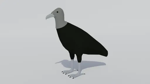 Low poly Black Vulture
