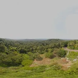 Tropical Green Hillside Landscape