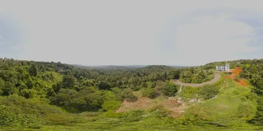 Tropical Green Hillside Landscape