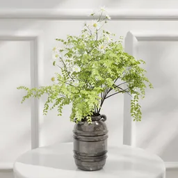 Fern Daisy Vase