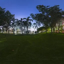 Night Lawn