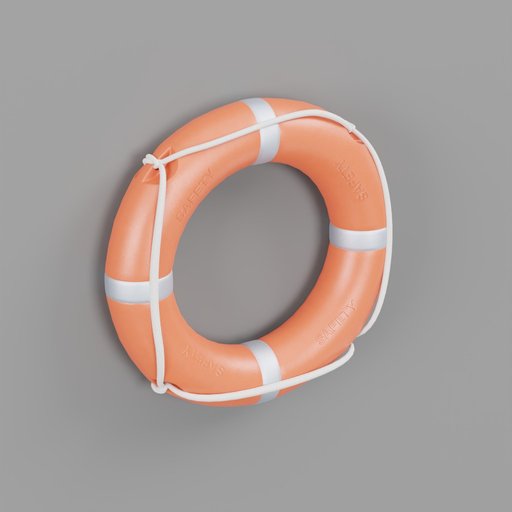 Safety Life Ring