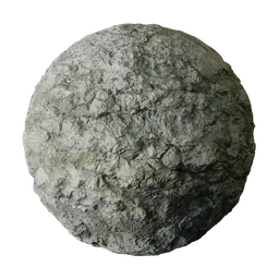 Moss Stained Gray Coastal Rock