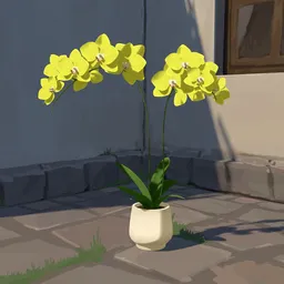 Orchids