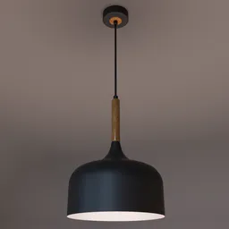Black pendant light