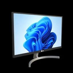 LG LCD Monitor