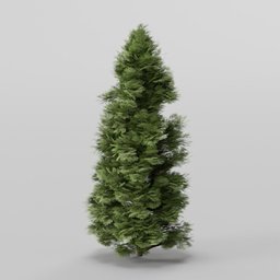Thuja occidentalis lowpoly