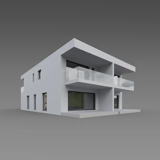 Modern duplex house