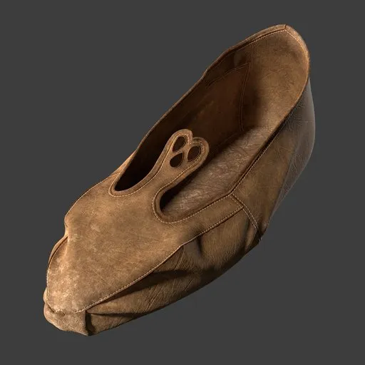 Shoe