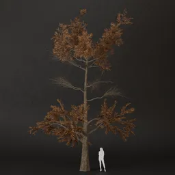 SJ-Golden Dusk Pine Tree