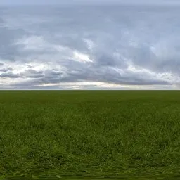 Green grass cloudy blue sky pure sky