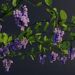 "Nature-inspired 3D model of Grapevine with hanging purple grapes and green leaves, generated using Geometry Nodes in Blender 3D. Created with Unreal Engine 5 art and featuring shaded lighting, lilac bushes, and 8k resolution."