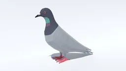Low Poly Pigeon 3D model optimized for Blender with separate quad meshes, ideal for CG visualization.