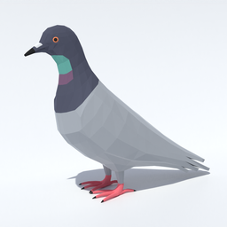 Low Poly Pigeon