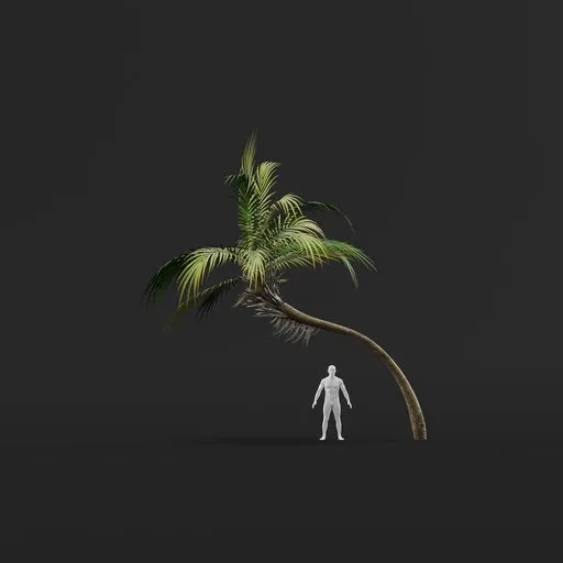 Palm Tree (Spring) - Short Thin Curved