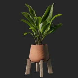 Realistic aspidistra 3D model with natural leaf lighting and quadrilaterals, in modern clay pot on wooden stand.