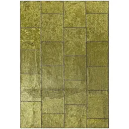 Patch Olive Carpet