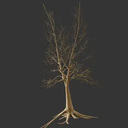 Dry Tree