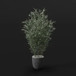 Bamboo Plant Marble Pot