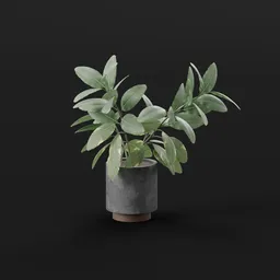 Green Leaf Potted Plant