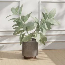 Green Leaf Potted Plant