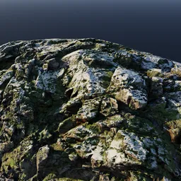 Moss Snow Ground Boulder Rocks