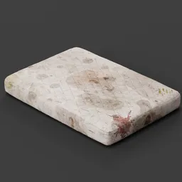 Old Mattress