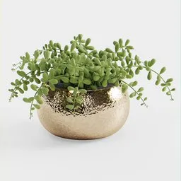 3D modeled small hammered metal pot with succulent plant for Blender rendering, depicting realistic textures and materials.