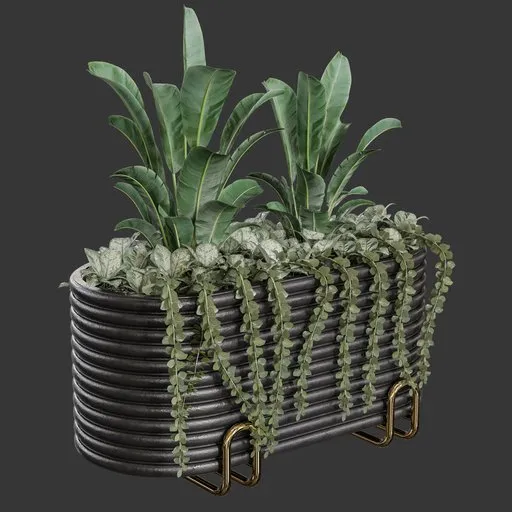 Flower Box