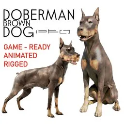 Brown Doberman Dog