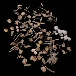 Old Ground Debris