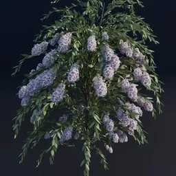 "3D model of a Crape Myrtle tree created with Blender 3D using Geometry nodes. The model features detailed purple flowers against a black background, rendered in Unreal Engine 5 with an 8K resolution. Perfect for Blender enthusiasts seeking high-quality tree assets for their projects."