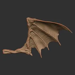 Clawed Dragon Wing