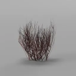 Red Grass