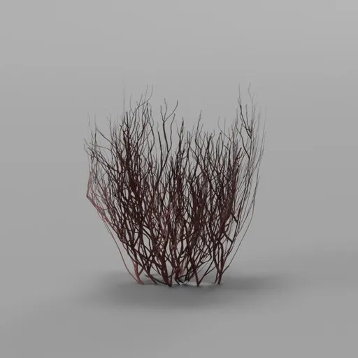 Red Grass