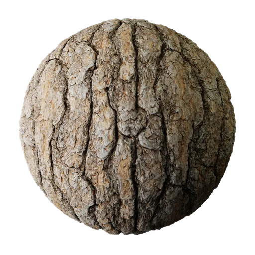 Tree Bark