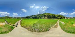 Sunny afternoon trail