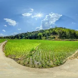 Sunny afternoon trail