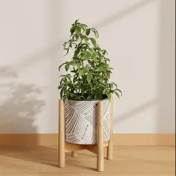 Indoor Plant Stand