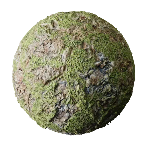 Rock with Grass