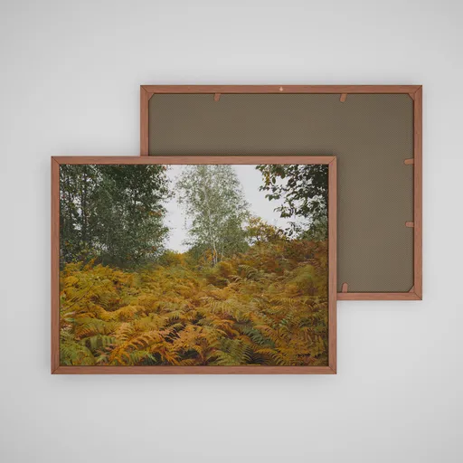 Autumn colection picture