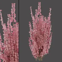 Pink Decorative Foliage