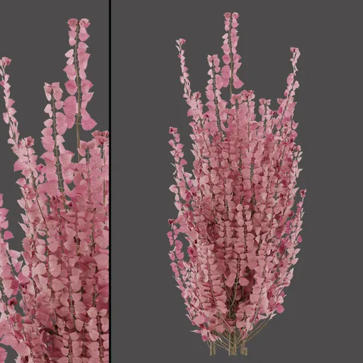 Pink Decorative Foliage