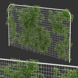 Fence Ivy Simple Plant AQ