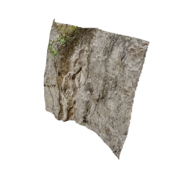 Rock