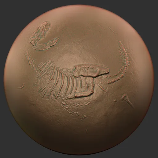 ER_Fossil Brush-Dinosaur Fossils