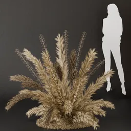 SJ- Pampas Pure Serenity Bush