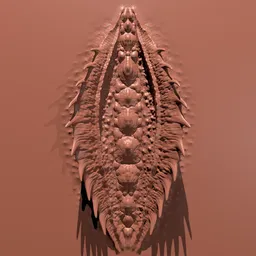 Double Dragon Fin VDM Brush - 01