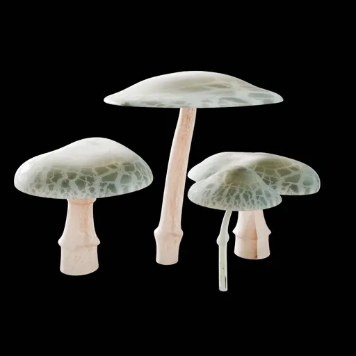 Mushrooms
