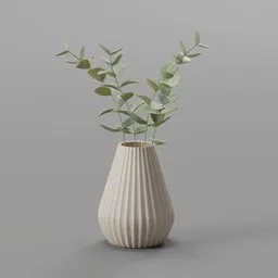Eucalyptus Leaf Plant